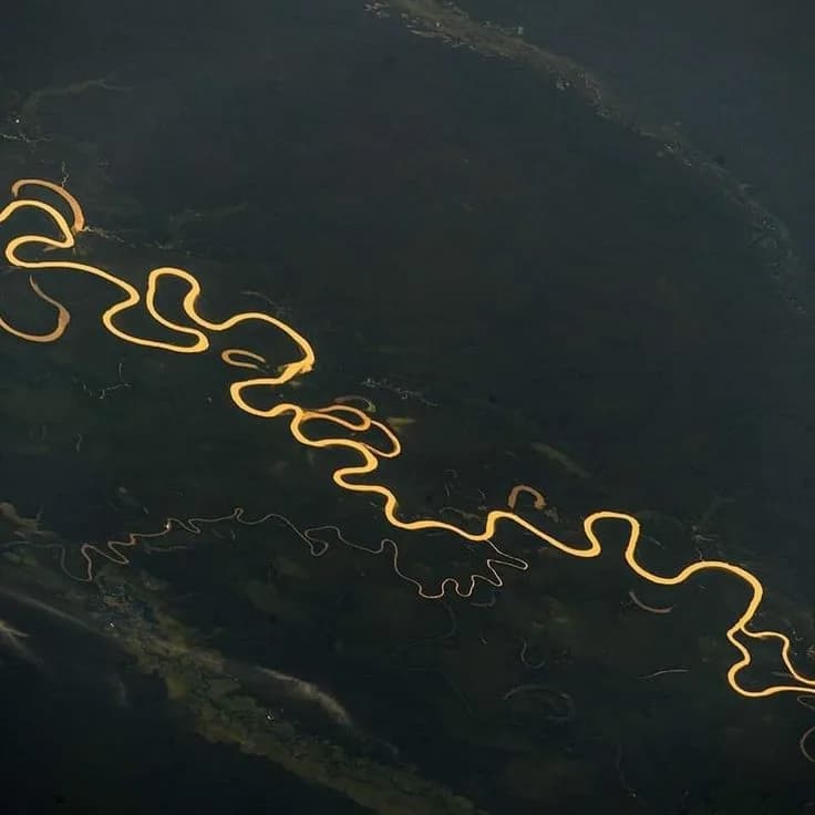 amazonas